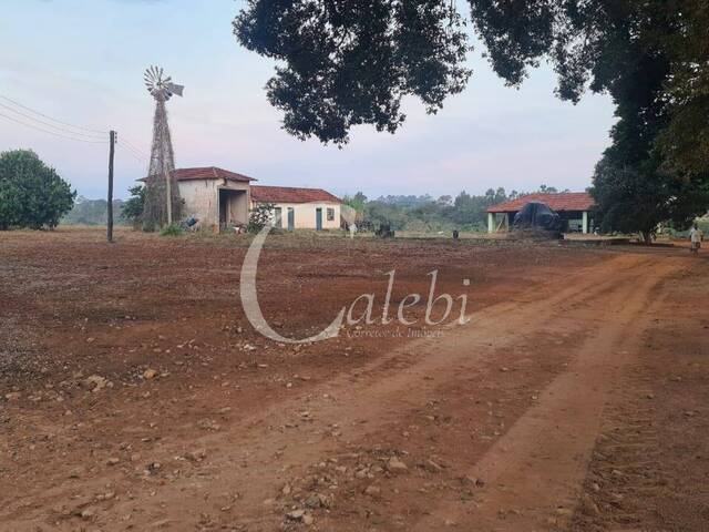 Venda em Área Rural de Mogi Mirim - Moji Mirim