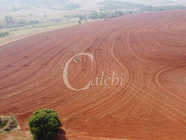 #368 - Sítio para Venda em Itapira - SP - 2