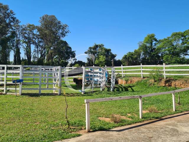 #377 - Sítio para Venda em Moji Mirim - SP