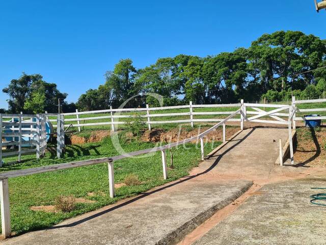 #377 - Sítio para Venda em Moji Mirim - SP - 3