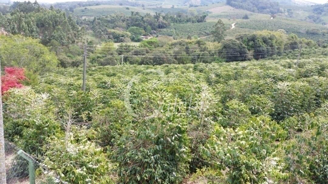 Fazenda à venda, 5m² - Foto 3