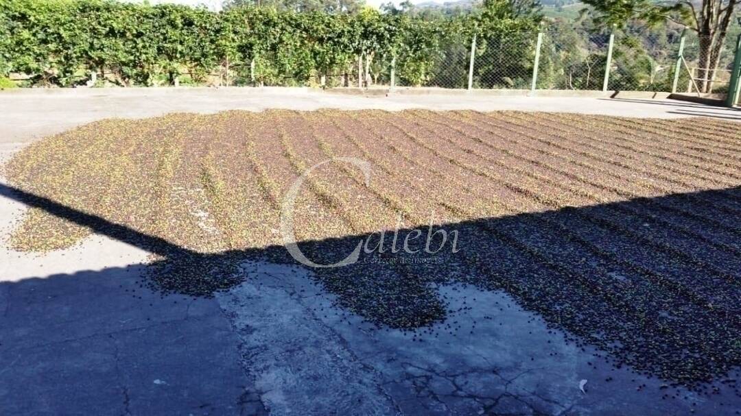 Fazenda à venda, 5m² - Foto 2