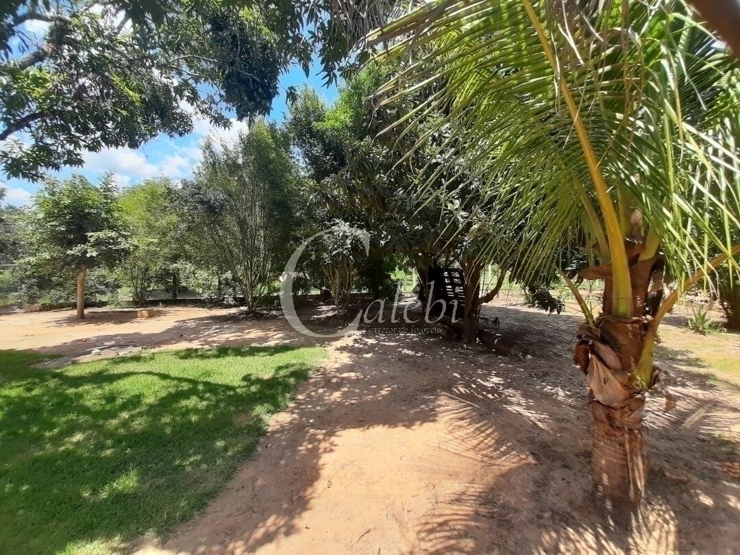 Fazenda à venda e aluguel com 3 quartos, 100m² - Foto 9