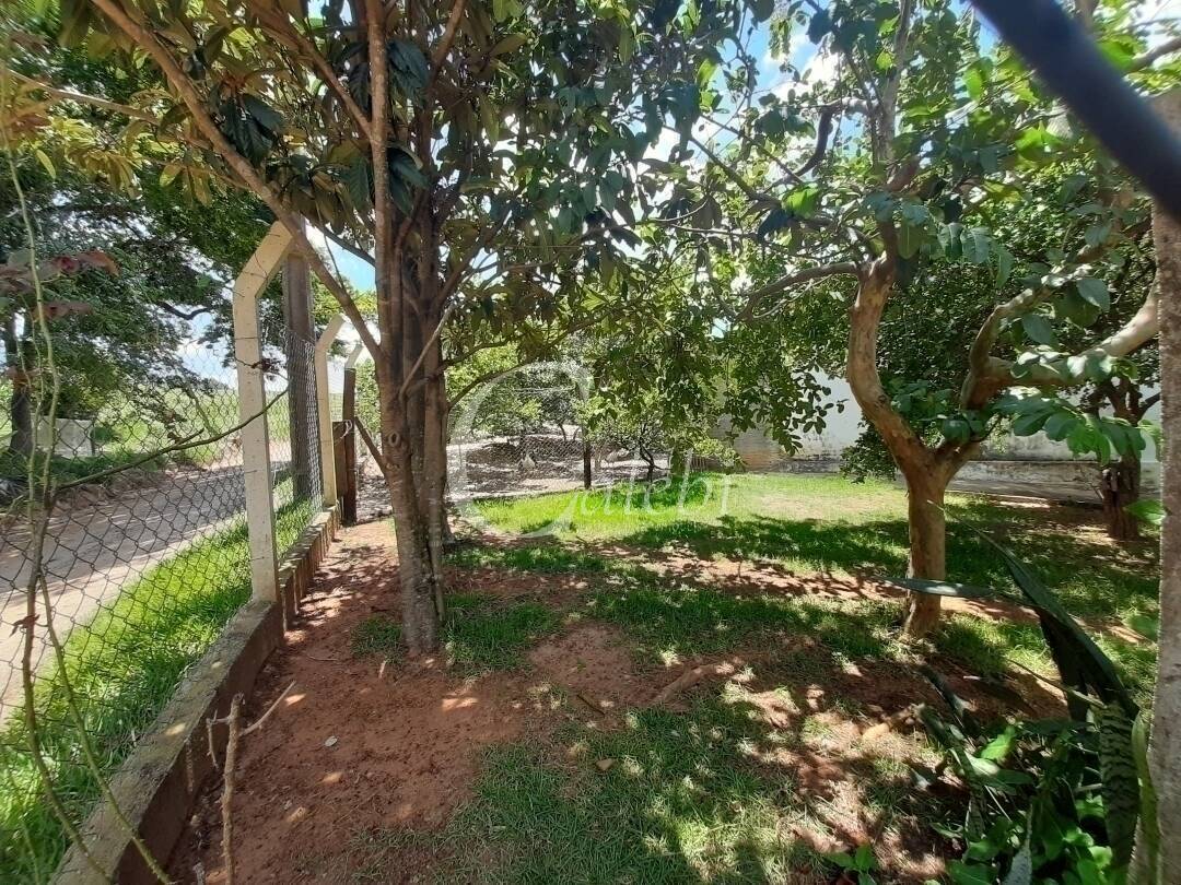 Fazenda à venda e aluguel com 3 quartos, 100m² - Foto 3