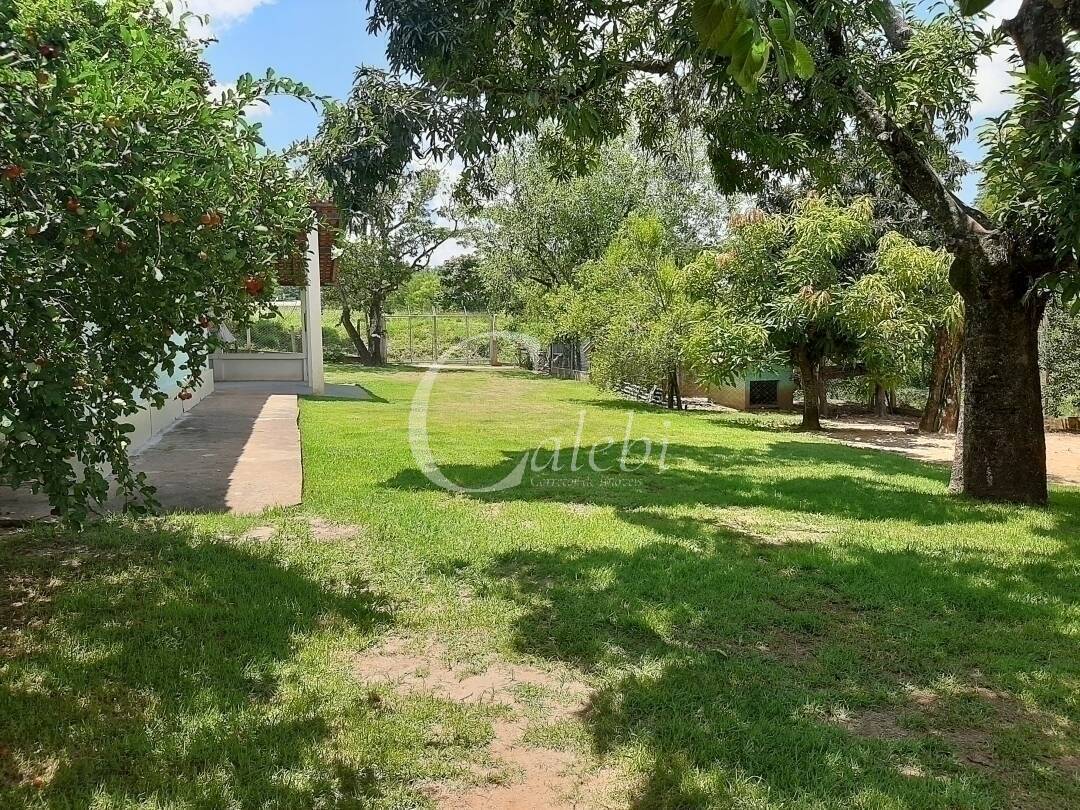 Fazenda à venda e aluguel com 3 quartos, 100m² - Foto 6