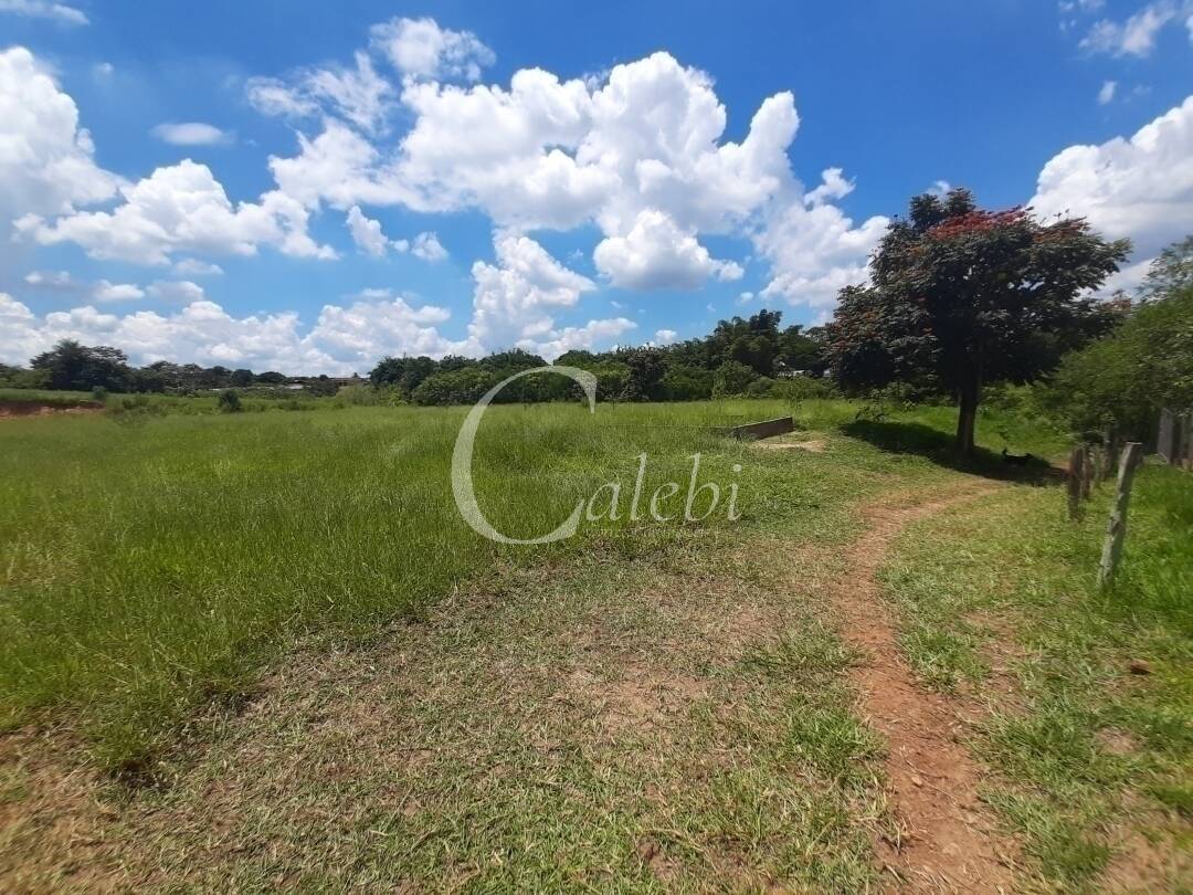 Fazenda à venda e aluguel com 3 quartos, 100m² - Foto 33