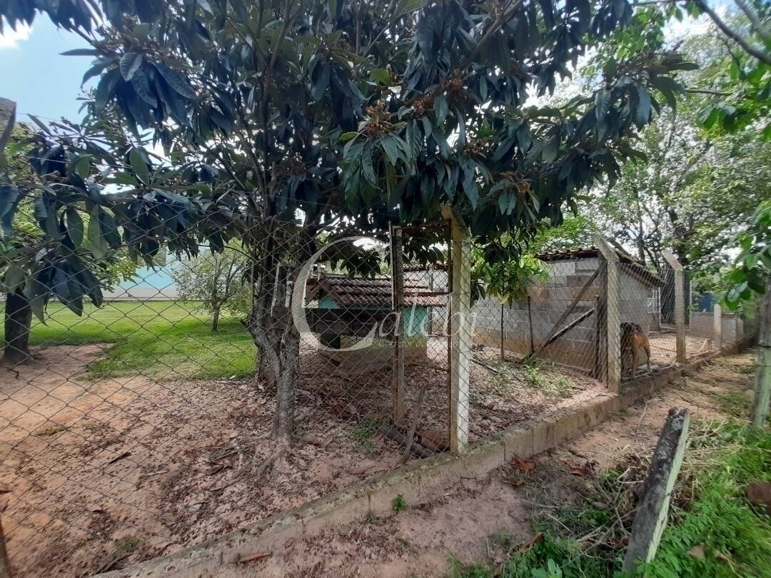 Fazenda à venda e aluguel com 3 quartos, 100m² - Foto 22