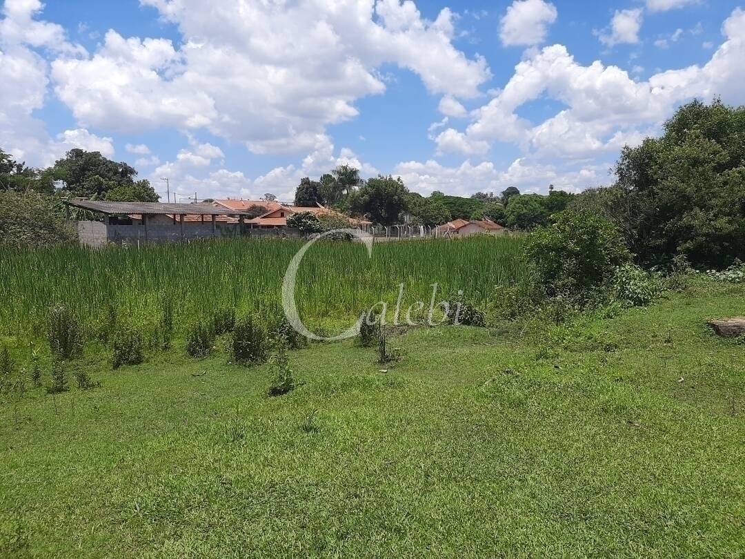 Fazenda à venda e aluguel com 3 quartos, 100m² - Foto 13