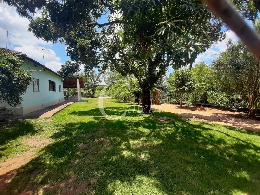 Fazenda à venda e aluguel com 3 quartos, 100m² - Foto 8