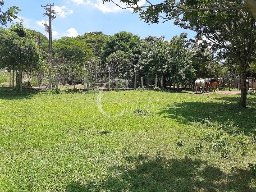 Fazenda à venda e aluguel com 3 quartos, 100m² - Foto 14