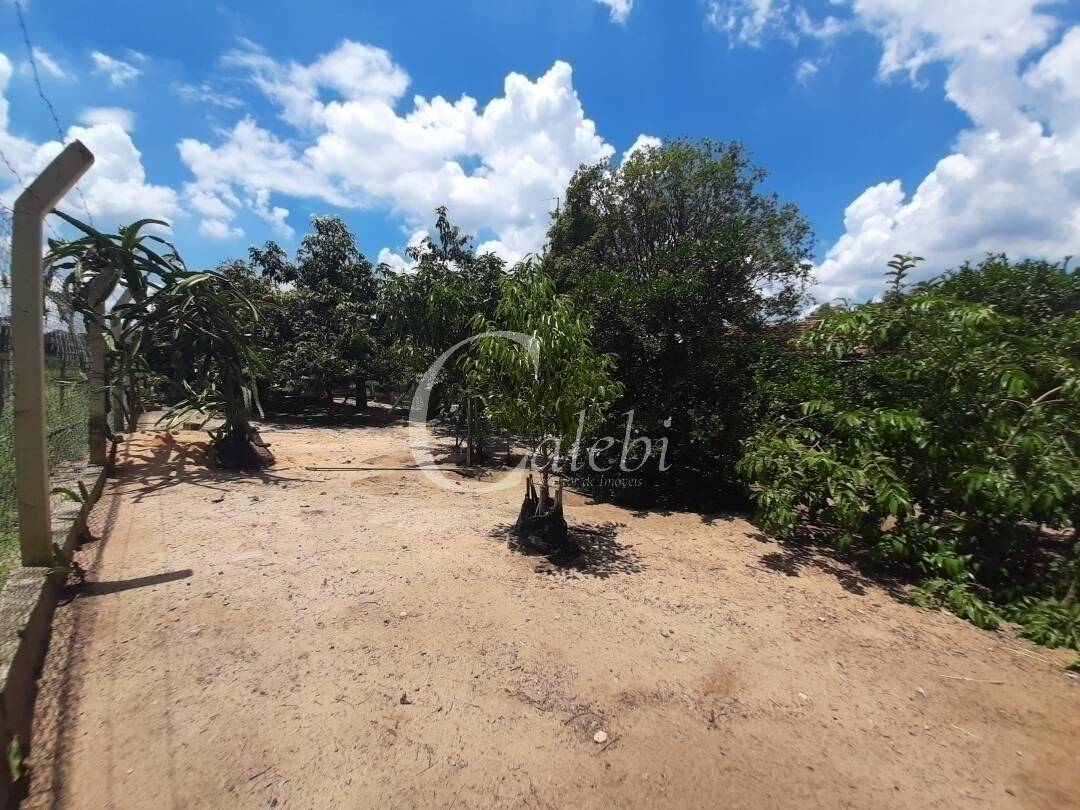 Fazenda à venda e aluguel com 3 quartos, 100m² - Foto 39