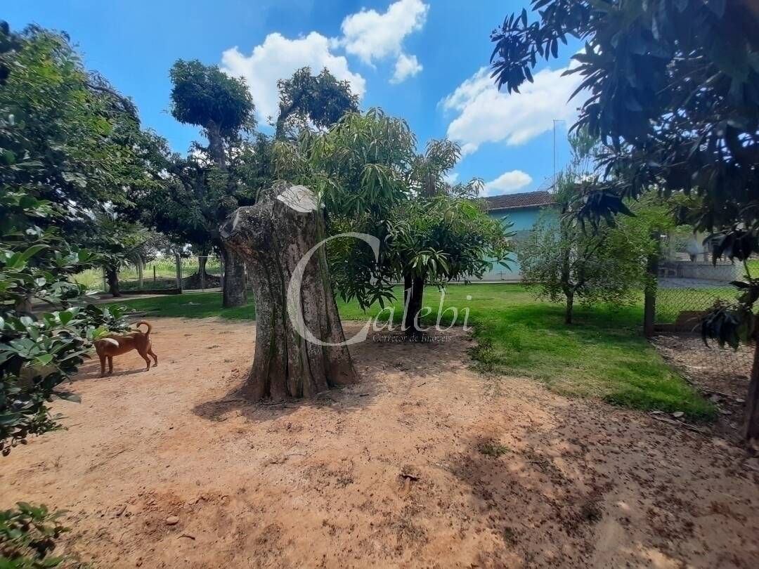 Fazenda à venda e aluguel com 3 quartos, 100m² - Foto 25