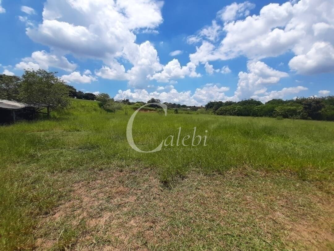 Fazenda à venda e aluguel com 3 quartos, 100m² - Foto 34