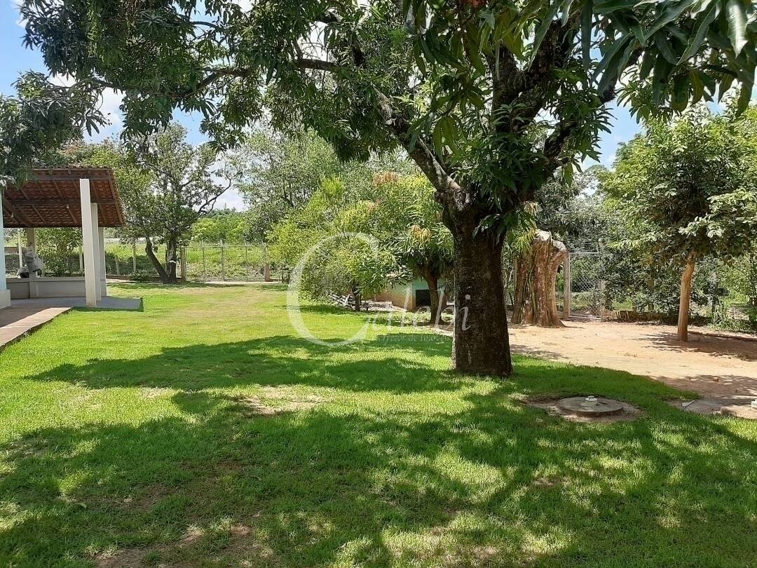 Fazenda à venda e aluguel com 3 quartos, 100m² - Foto 7