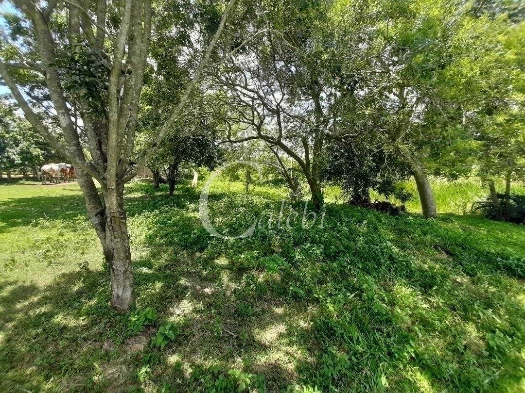 Fazenda à venda e aluguel com 3 quartos, 100m² - Foto 16