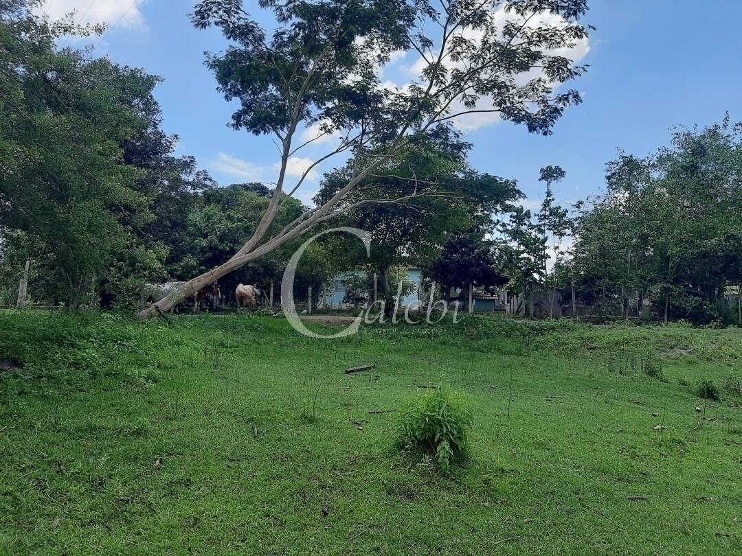 Fazenda à venda e aluguel com 3 quartos, 100m² - Foto 19