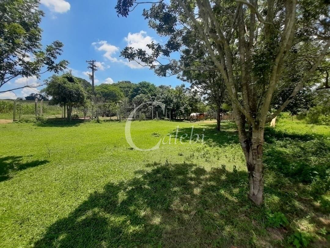 Fazenda à venda e aluguel com 3 quartos, 100m² - Foto 15