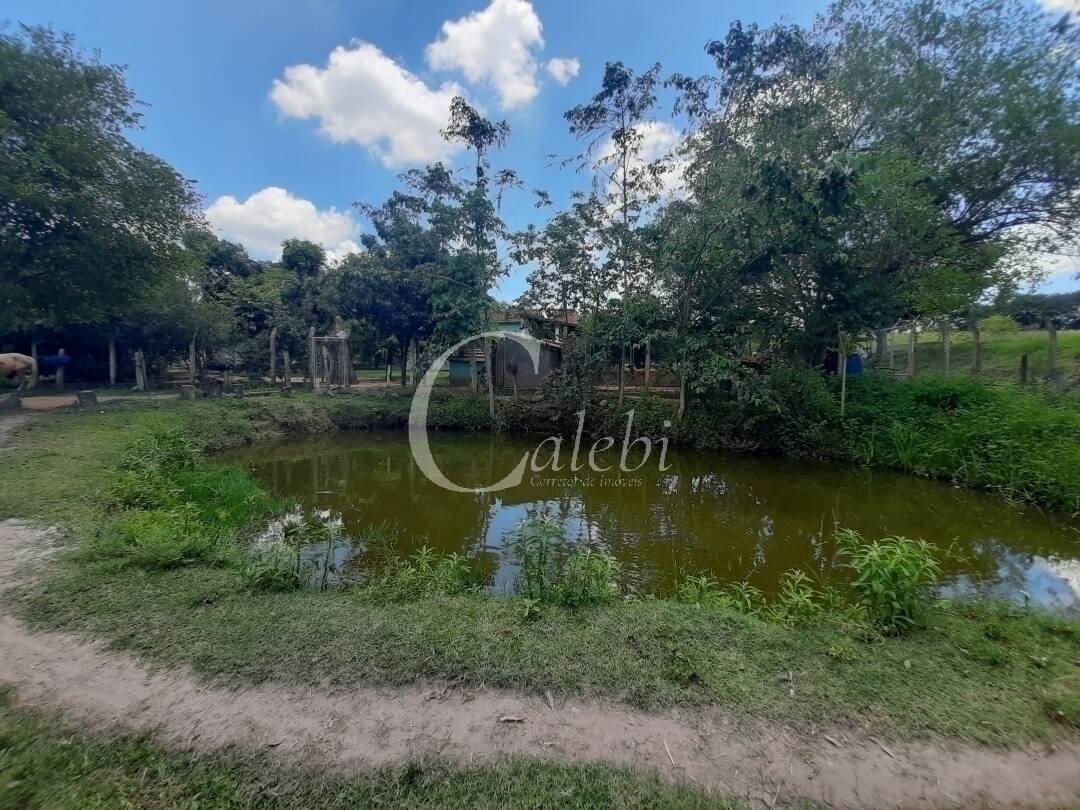 Fazenda à venda e aluguel com 3 quartos, 100m² - Foto 21