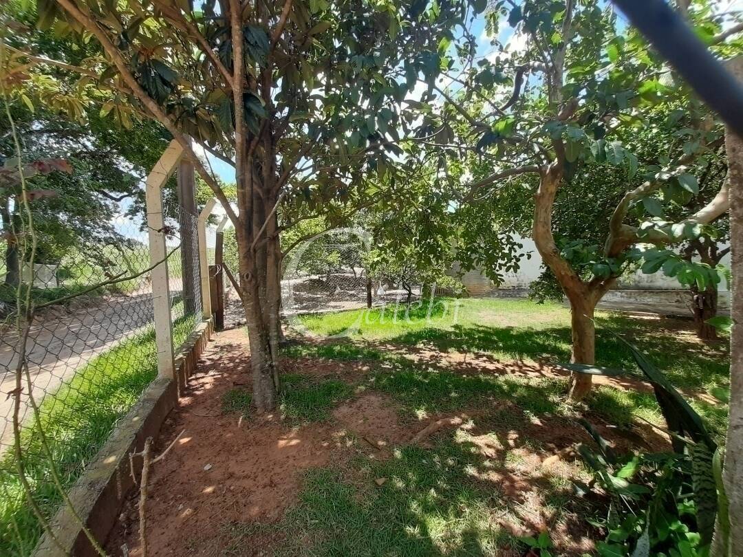 Fazenda à venda e aluguel com 3 quartos, 100m² - Foto 4