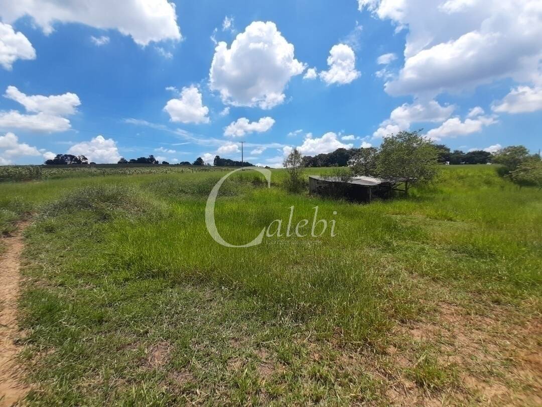 Fazenda à venda e aluguel com 3 quartos, 100m² - Foto 35