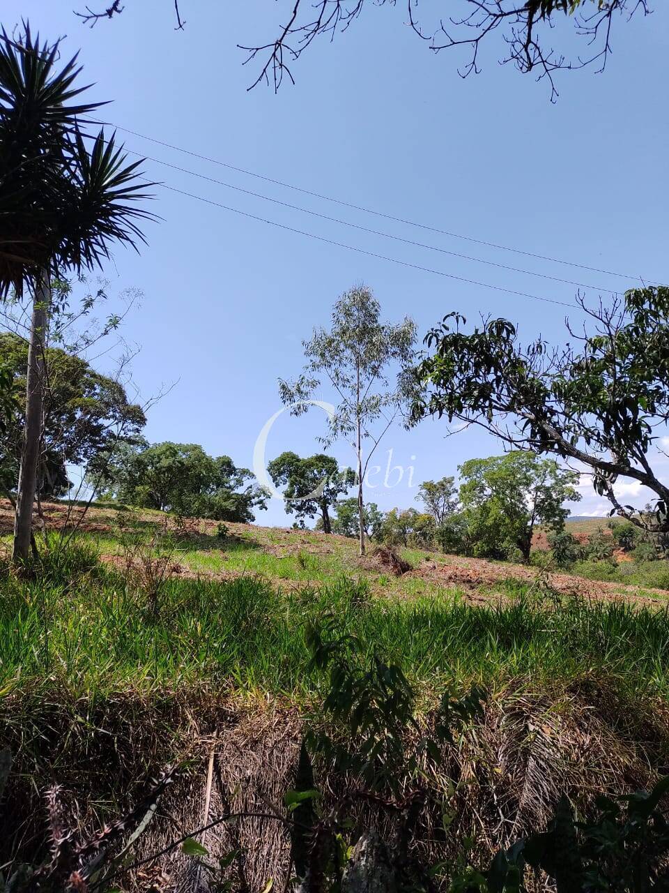 Fazenda à venda com 2 quartos, 23m² - Foto 6