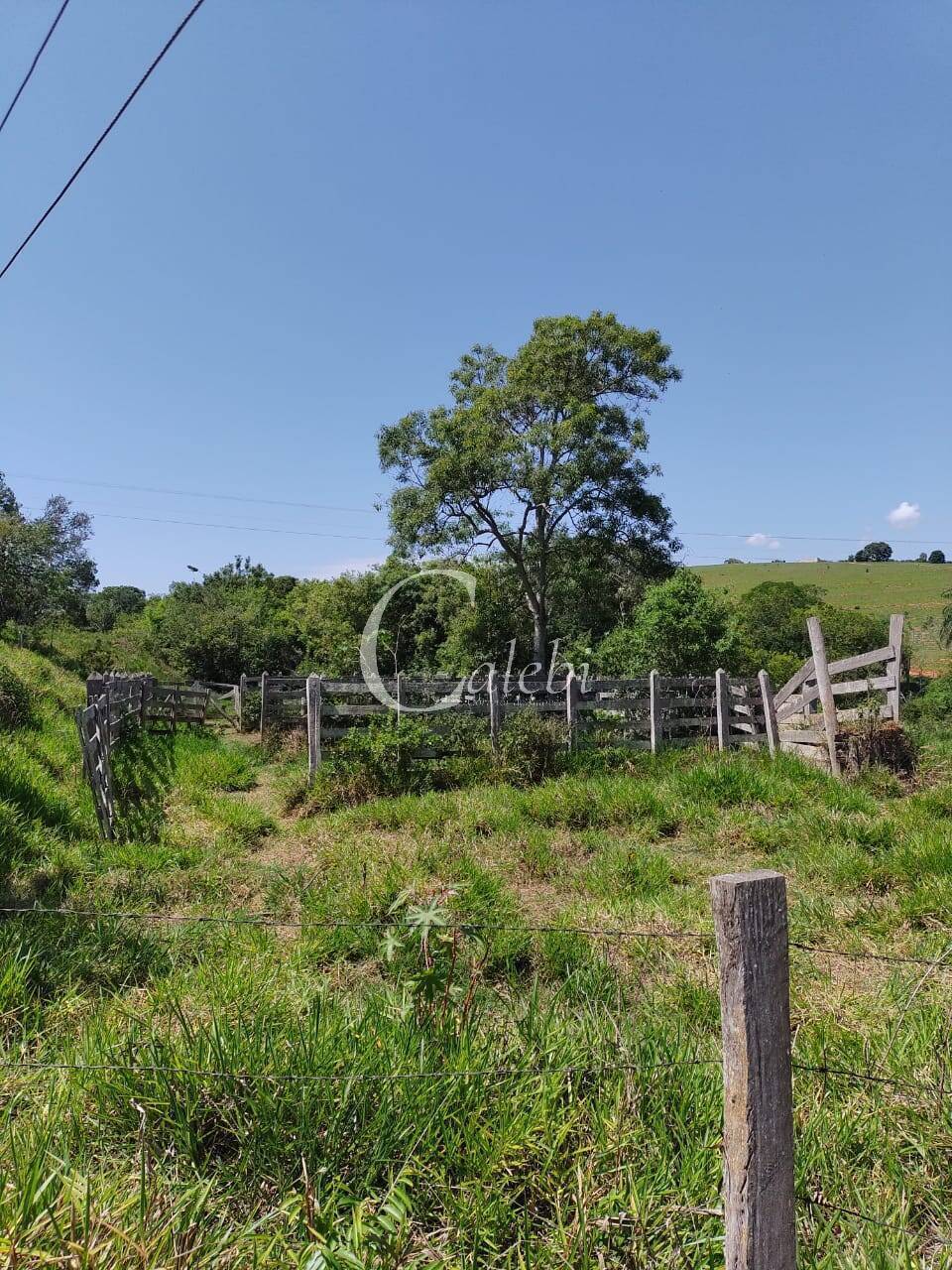 Fazenda à venda com 2 quartos, 23m² - Foto 7