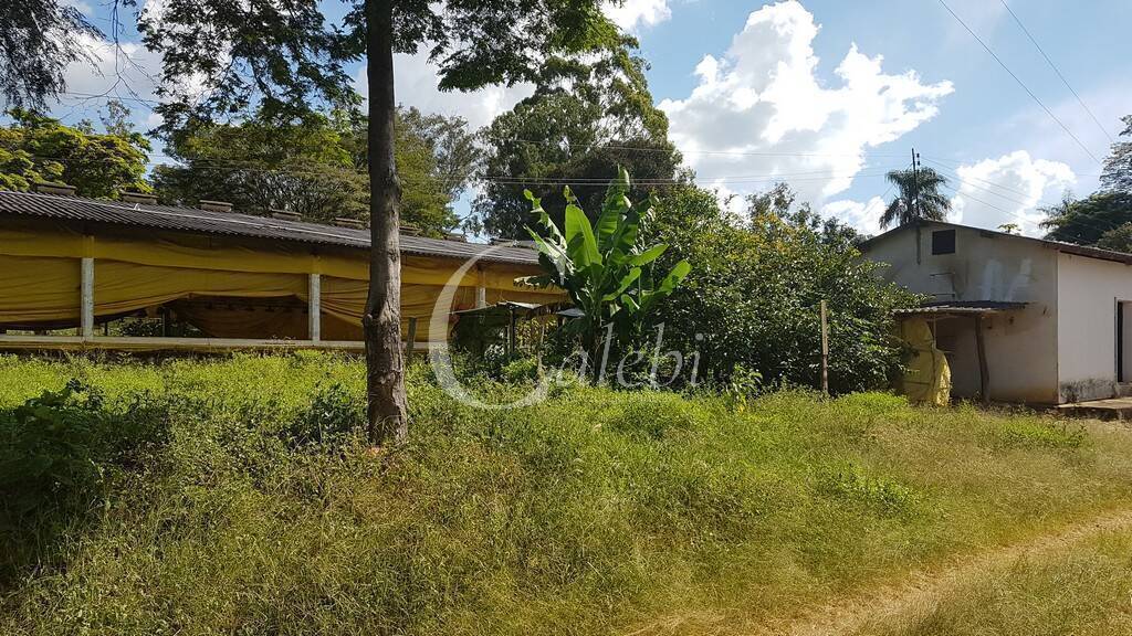 Fazenda à venda com 10 quartos, 6365m² - Foto 6