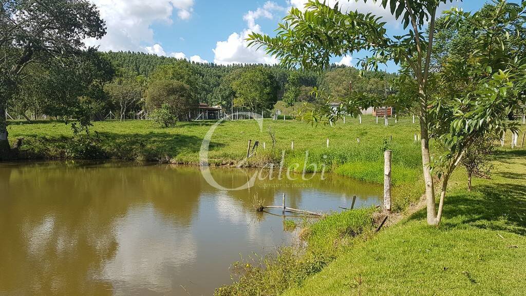 Fazenda à venda com 10 quartos, 6365m² - Foto 12