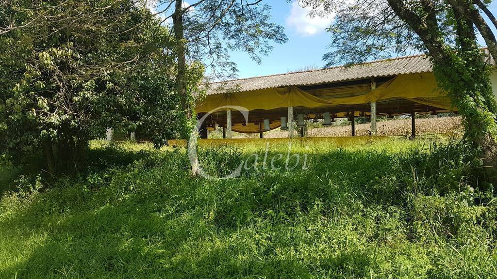 Fazenda à venda com 10 quartos, 6365m² - Foto 13