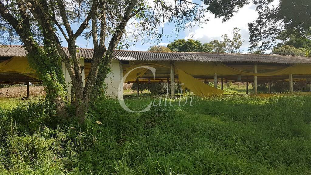 Fazenda à venda com 10 quartos, 6365m² - Foto 14