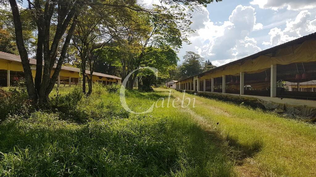 Fazenda à venda com 10 quartos, 6365m² - Foto 15