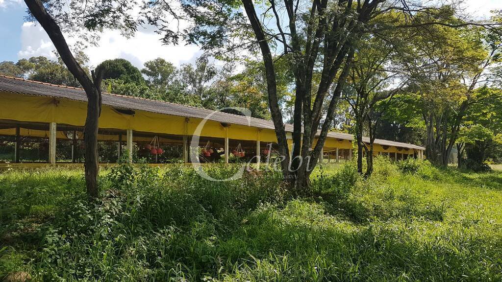 Fazenda à venda com 10 quartos, 6365m² - Foto 16