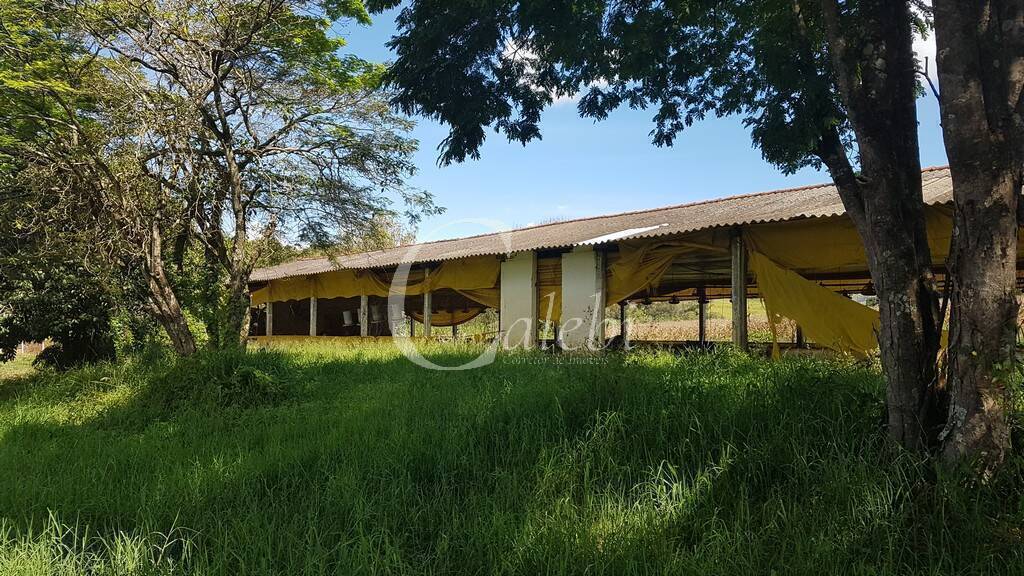 Fazenda à venda com 10 quartos, 6365m² - Foto 17