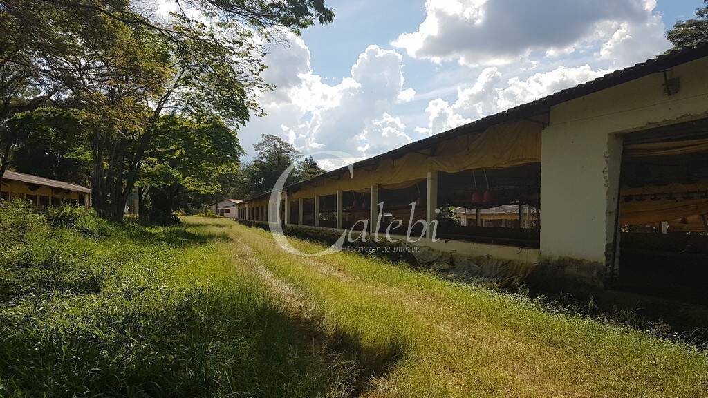 Fazenda à venda com 10 quartos, 6365m² - Foto 18