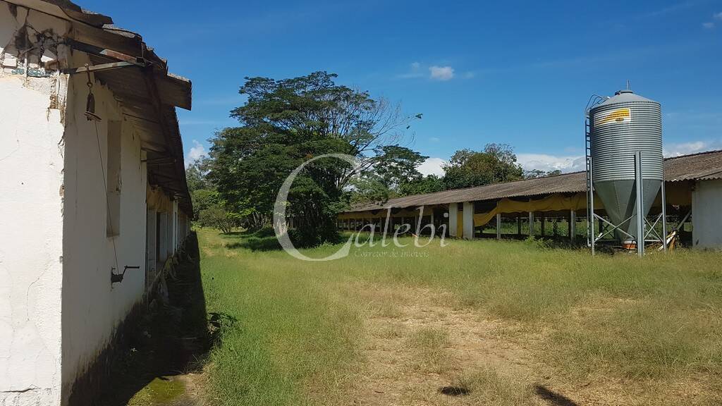 Fazenda à venda com 10 quartos, 6365m² - Foto 21