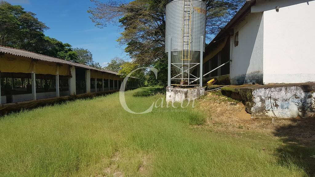 Fazenda à venda com 10 quartos, 6365m² - Foto 23