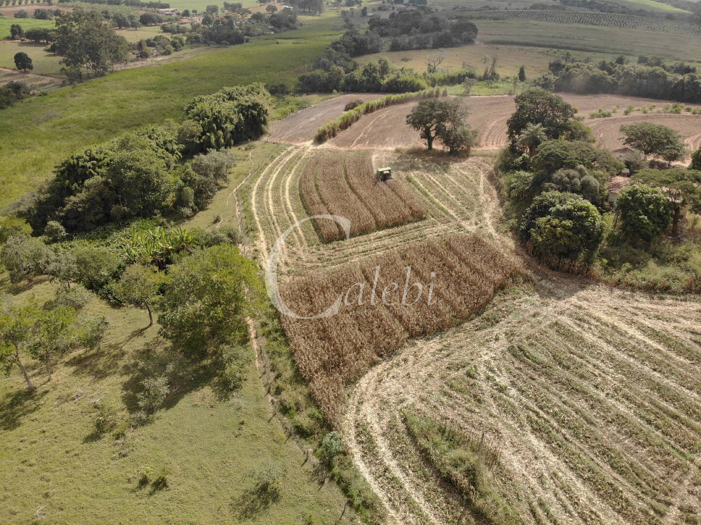 Fazenda à venda com 4 quartos, 100m² - Foto 4