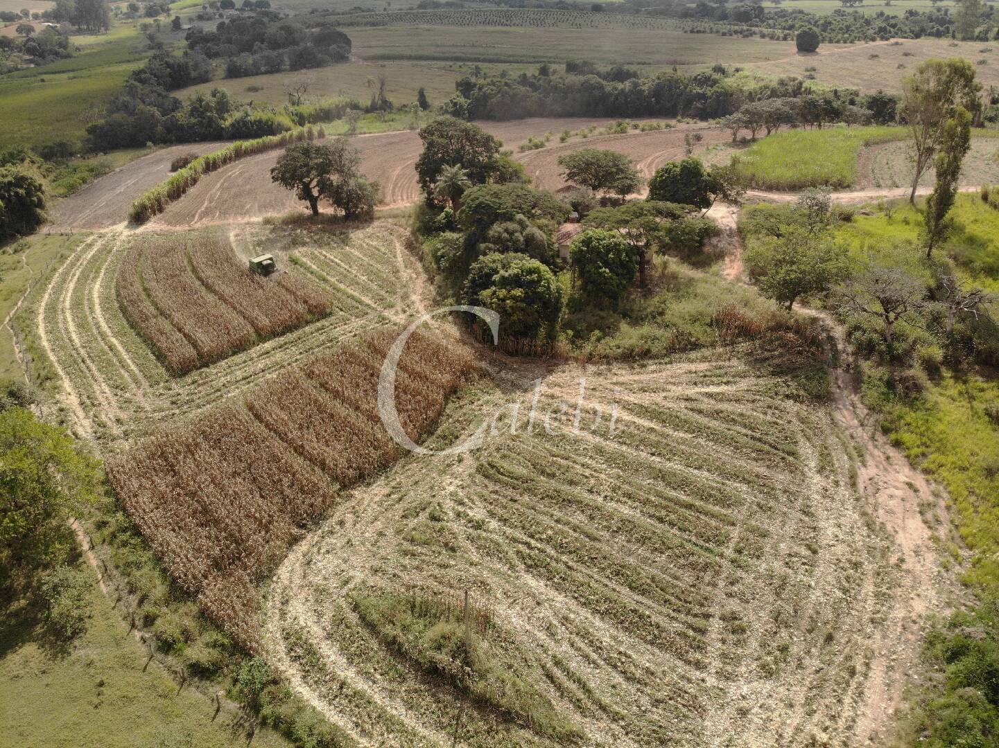 Fazenda à venda com 4 quartos, 100m² - Foto 5