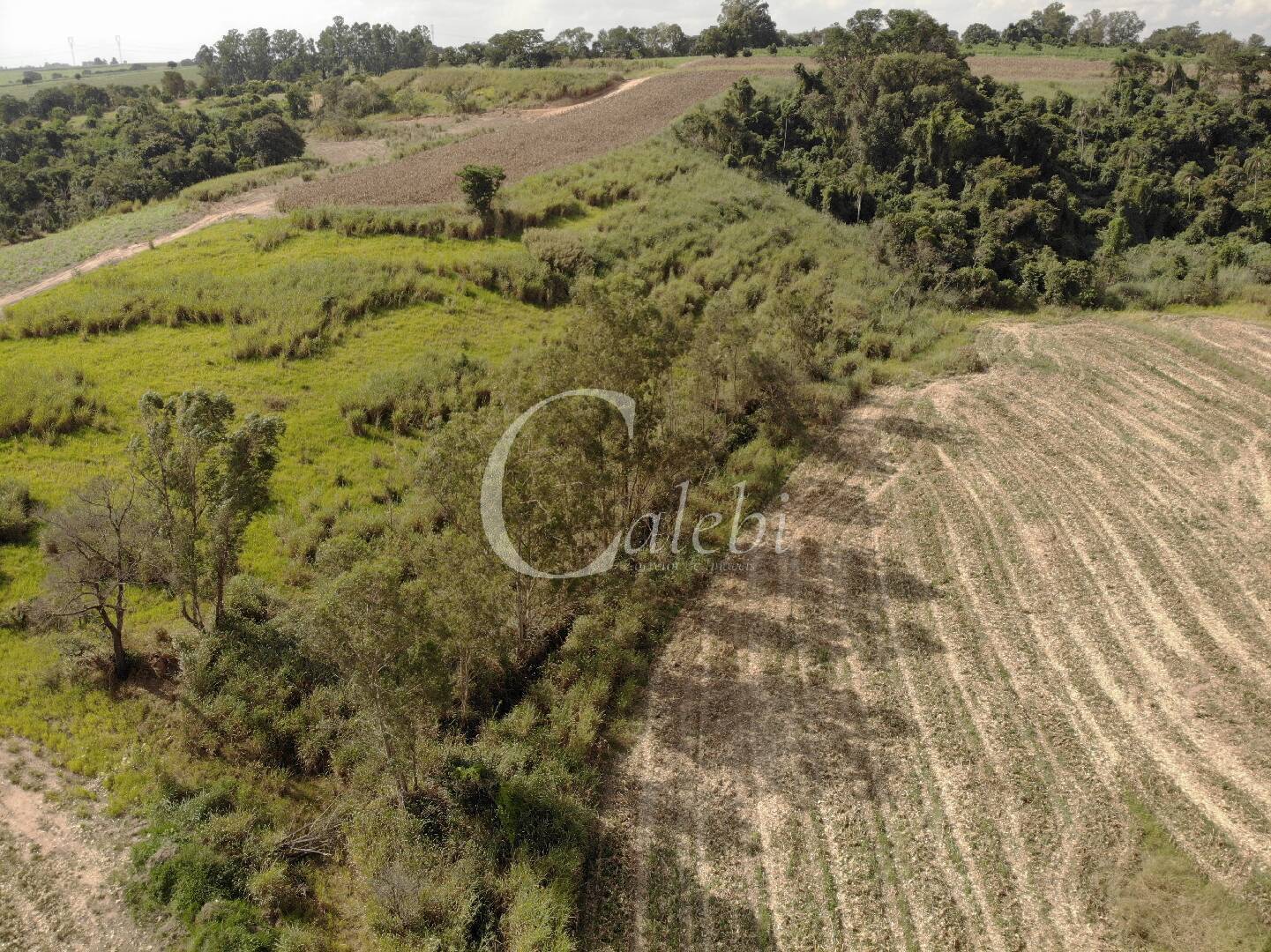 Fazenda à venda com 4 quartos, 100m² - Foto 6