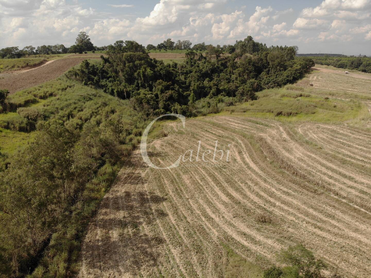 Fazenda à venda com 4 quartos, 100m² - Foto 7