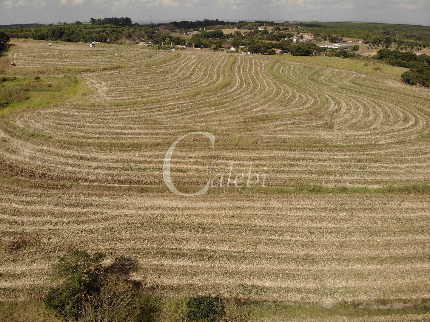 Fazenda à venda com 4 quartos, 100m² - Foto 8