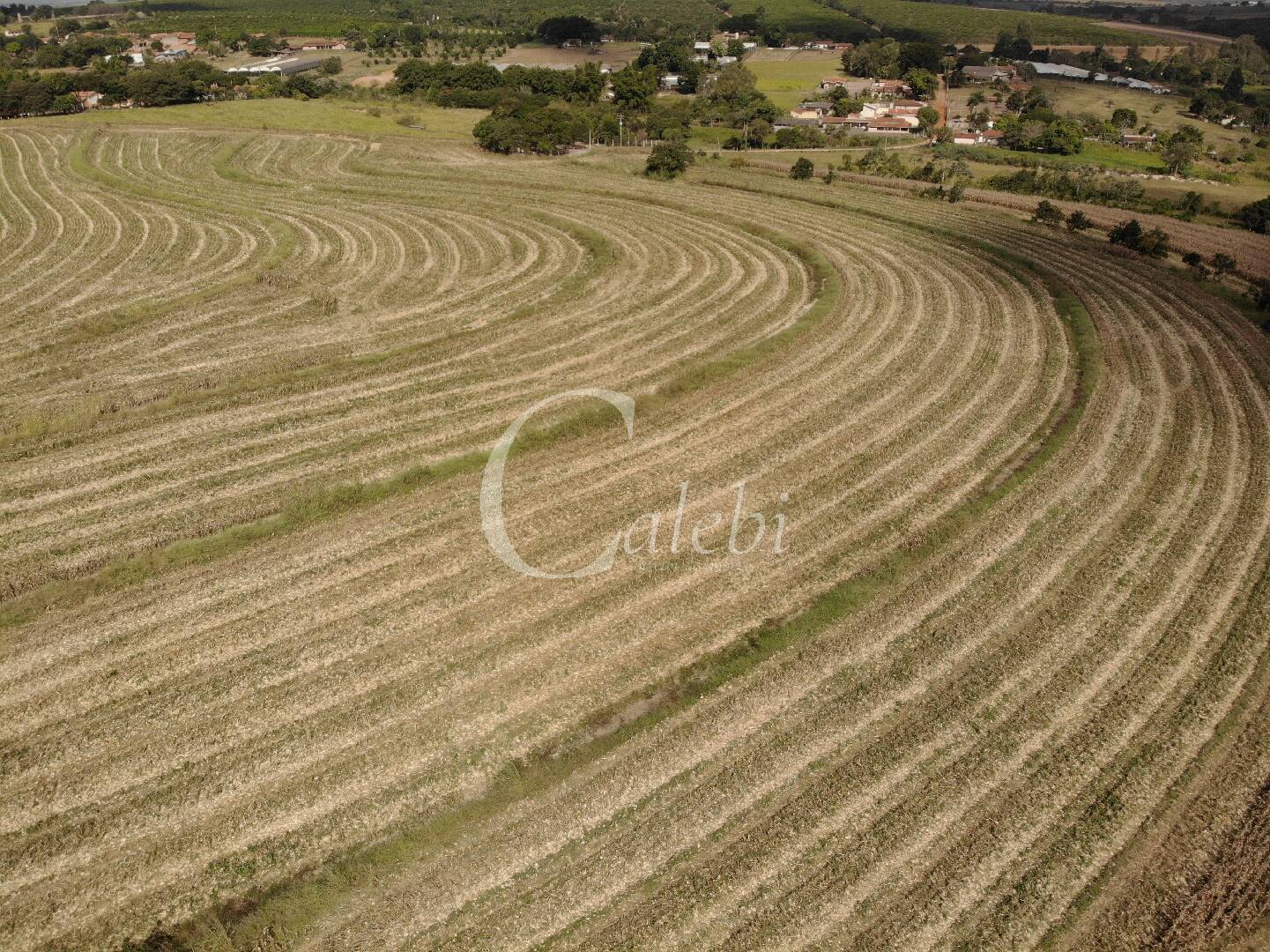 Fazenda à venda com 4 quartos, 100m² - Foto 1