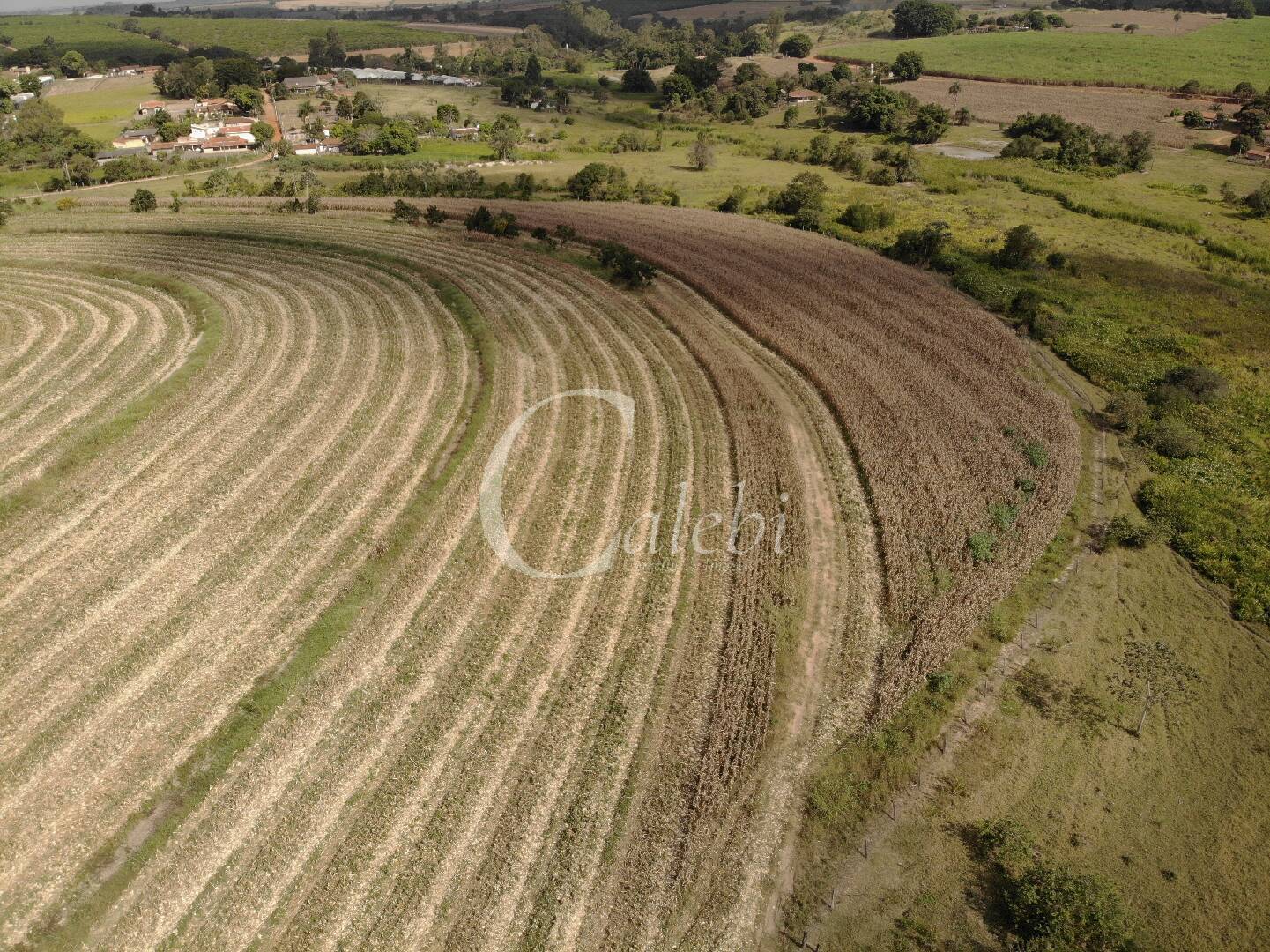 Fazenda à venda com 4 quartos, 100m² - Foto 9