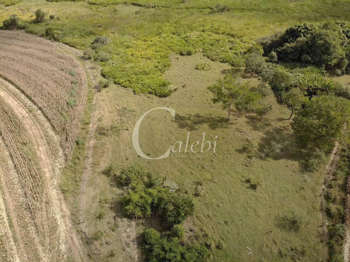 Fazenda à venda com 4 quartos, 100m² - Foto 10