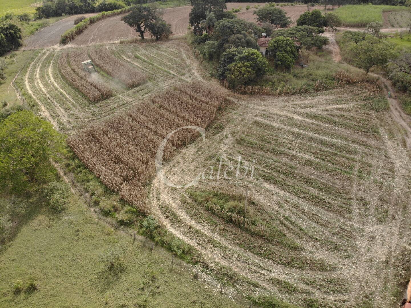 Fazenda à venda com 4 quartos, 100m² - Foto 11