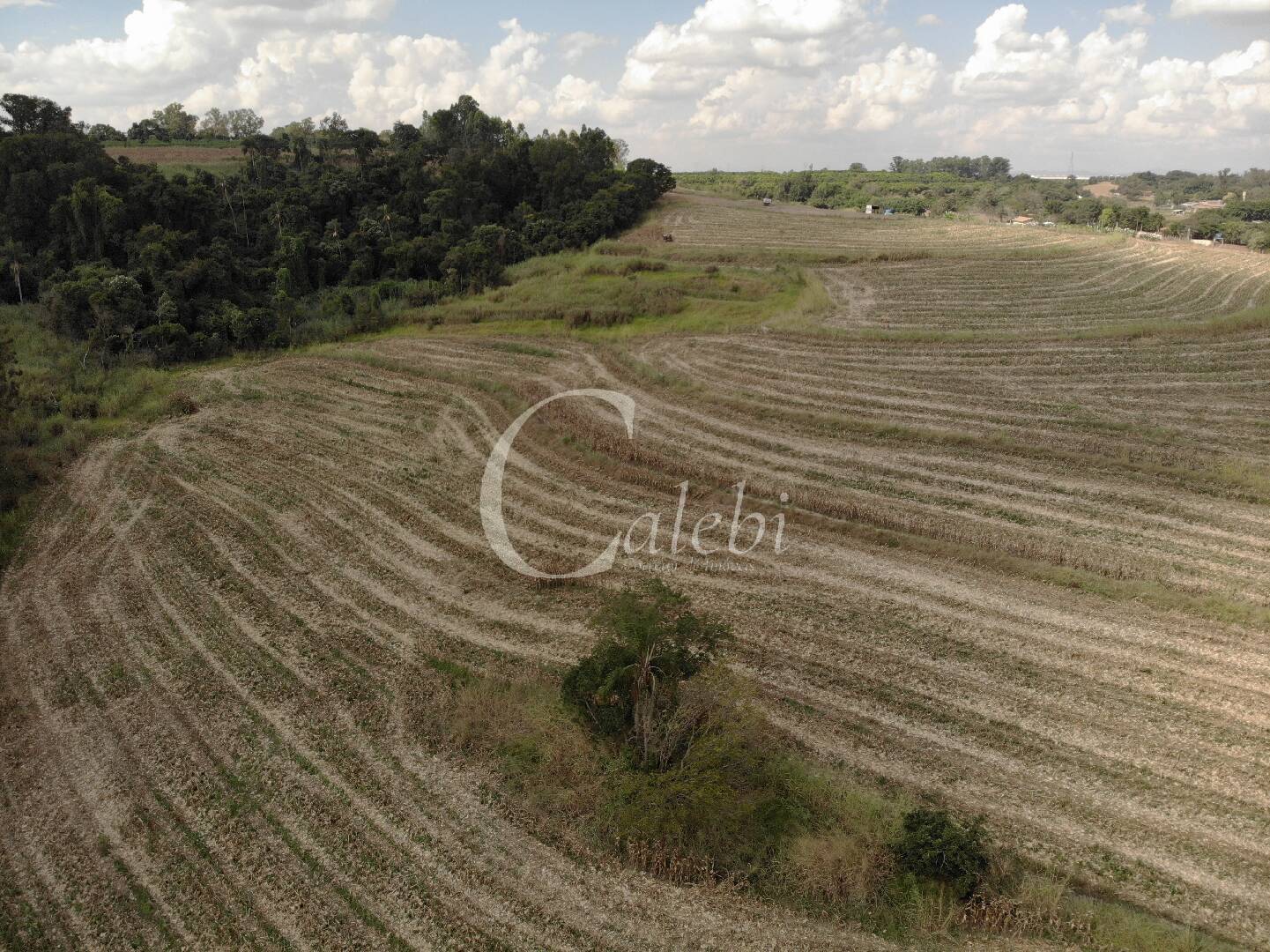 Fazenda à venda com 4 quartos, 100m² - Foto 12