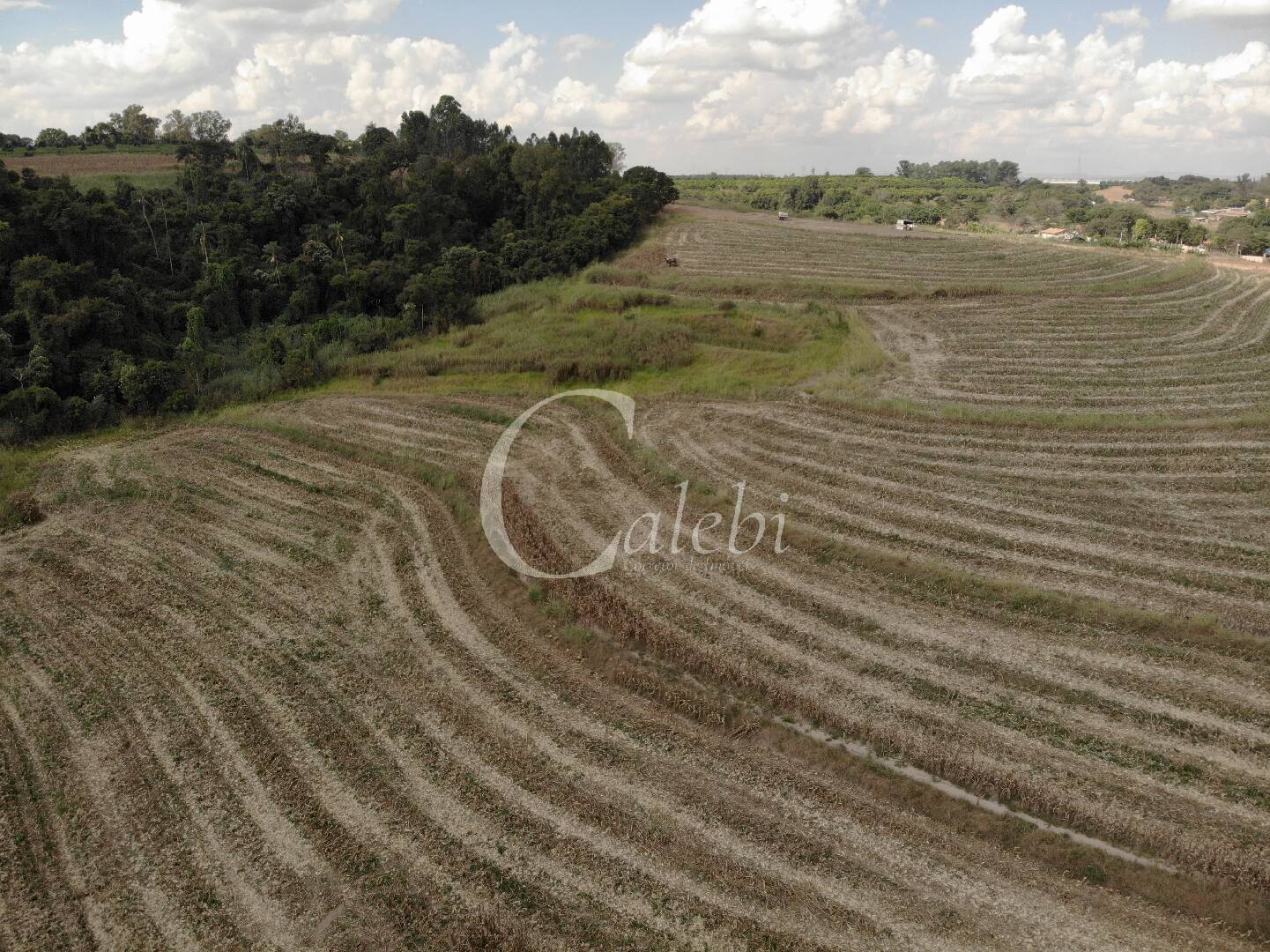 Fazenda à venda com 4 quartos, 100m² - Foto 13