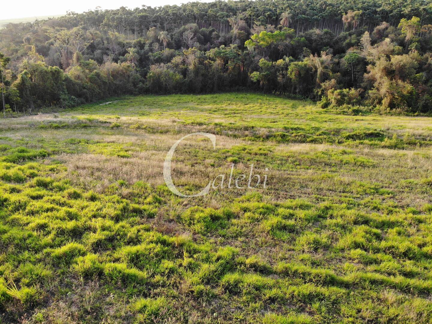 Terreno à venda, 2m² - Foto 2