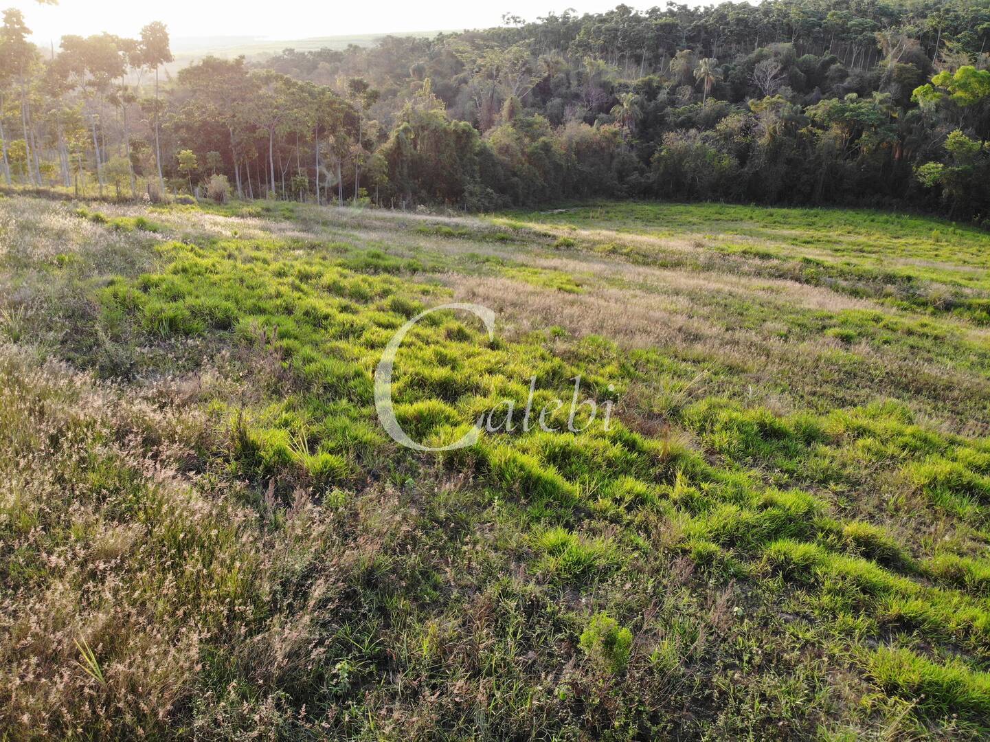 Terreno à venda, 2m² - Foto 3