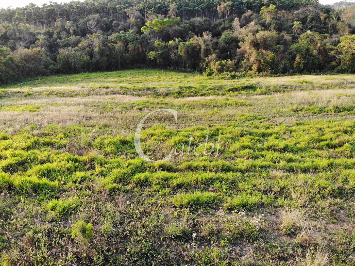 Terreno à venda, 2m² - Foto 4